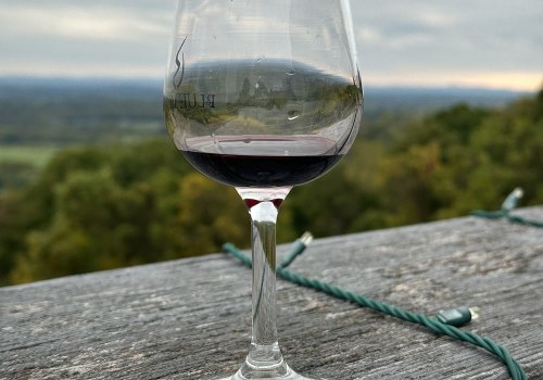 The Non-Alcoholic Side of Wine Festivals in Boring, Oregon